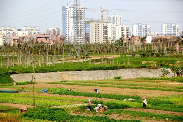 Nanning's ultra modern and traditional landscapes side by side.  Photo by Evan Schneider.